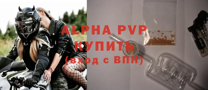 A PVP СК  Курчалой 